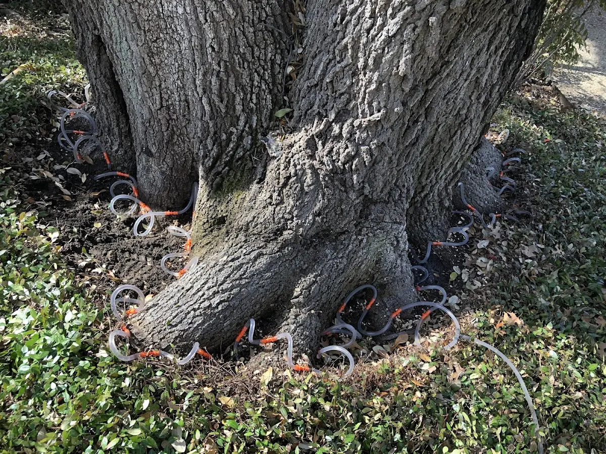 Detailed Shrub and Hedge Trimming job site in Hays